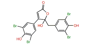 Rubrolide G